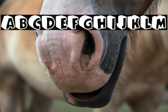 Cartoon Queen Example 2