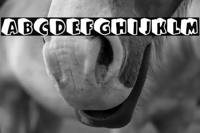 Cartoon Queen Font examples