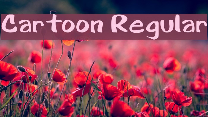 Cartoon Regular Font examples