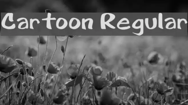 Cartoon Regular Font examples