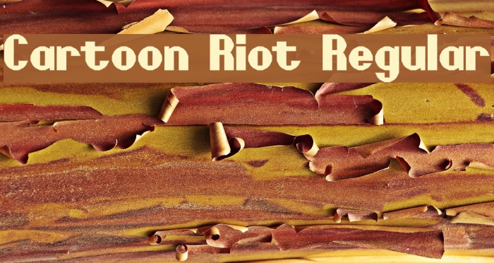Cartoon Riot Regular Font examples