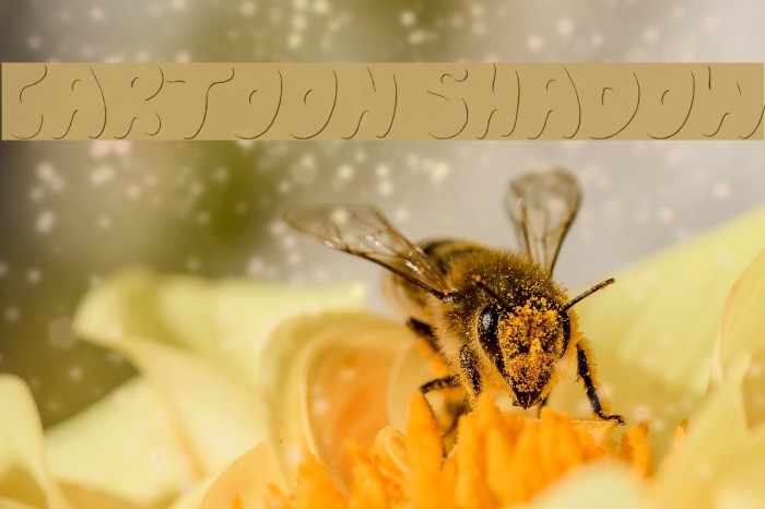 Cartoon Shadow Font examples
