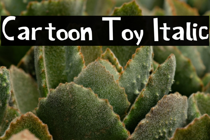 Cartoon Toy Italic Example 1