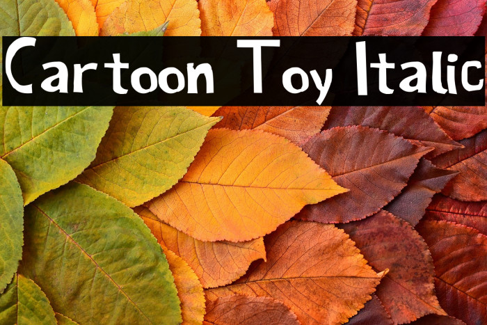 Cartoon Toy Italic Example 3
