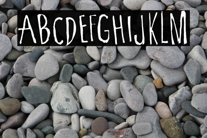 Cartoon Tunes Flat Example 1