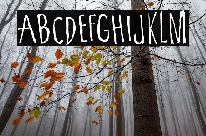 Cartoon Tunes Flat Example 3