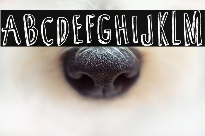 Cartoon  Tunes Example 1