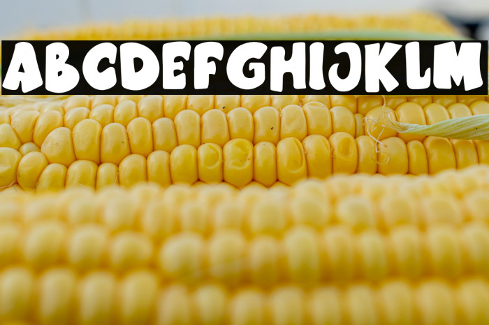 Cartoon cookies Example 1