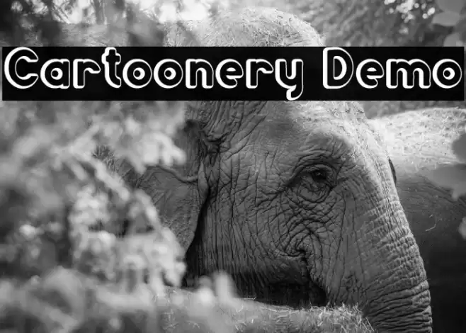 Cartoonery Demo Font examples