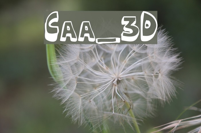 Cartoonia_3D Caratteri examples