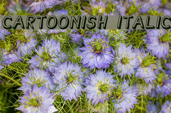 Cartoonish Italic Font examples