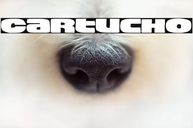 Cartucho Example 2