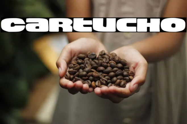 Cartucho Example 3