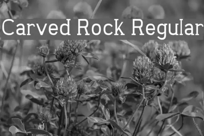 Carved Rock Regular Font examples