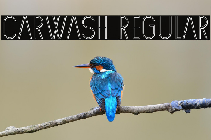 Carwash Regular Example 1