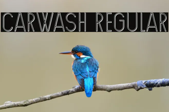 Carwash Regular Example 1