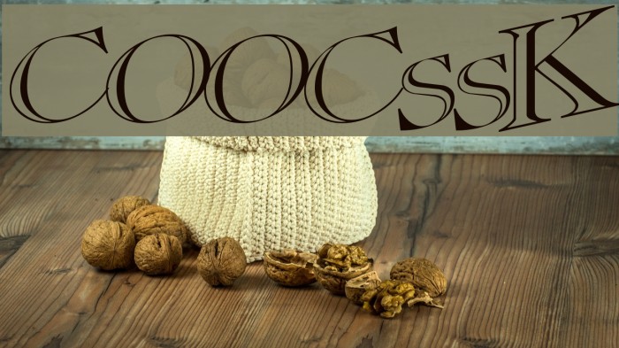 CasOpenOutaControlSSK Font examples