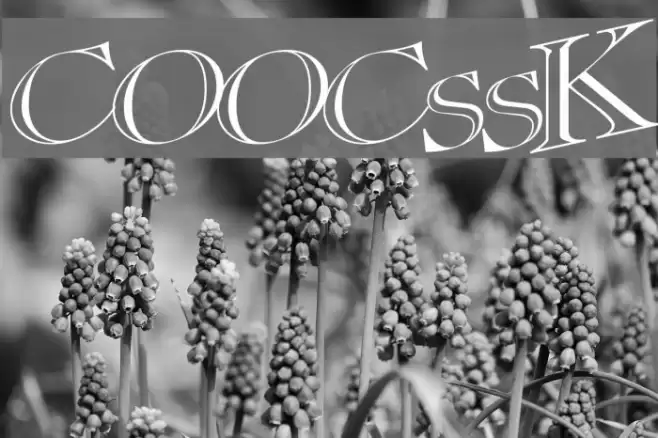 CasOpenOutaControlSSK Font examples