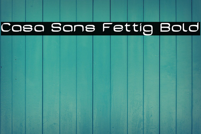 Casa Sans Fettig Bold Example 1