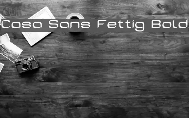 Casa Sans Fettig Bold Font examples