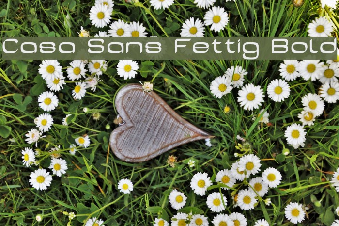 Casa Sans Fettig Bold Font examples