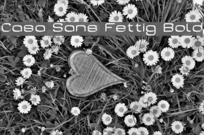 Casa Sans Fettig Bold Font examples