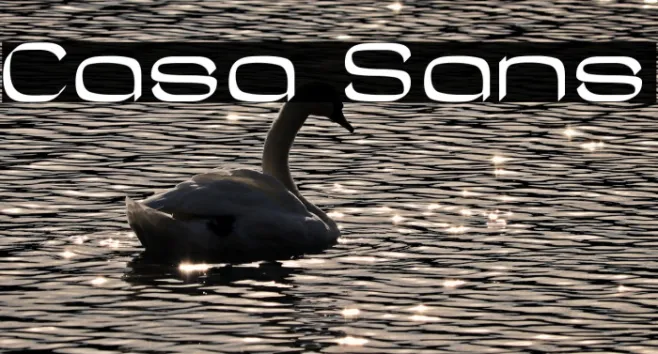 Casa Sans Example 1