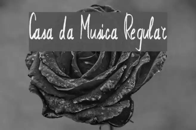 Casa da Musica Regular Font examples