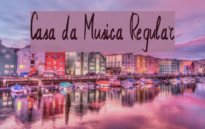 Casa da Musica Regular Example 3