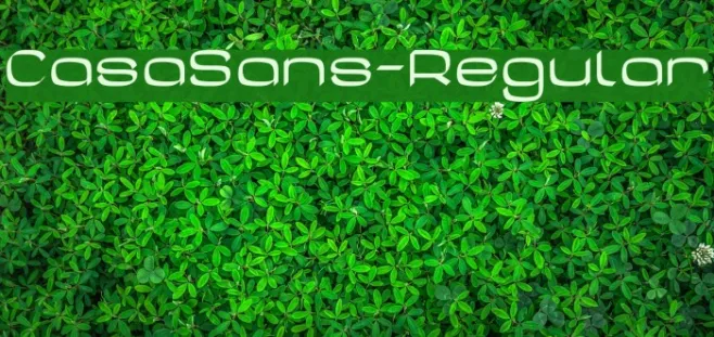 CasaSans-Regular Example 1
