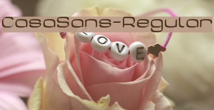 CasaSans-Regular Font examples