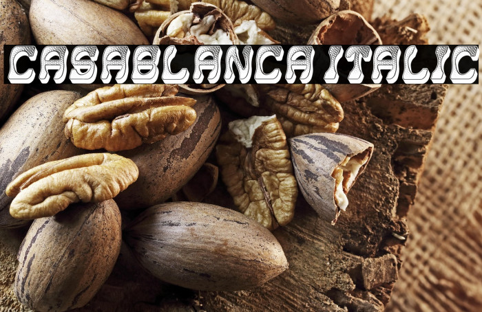 Casablanca Italic Example 3