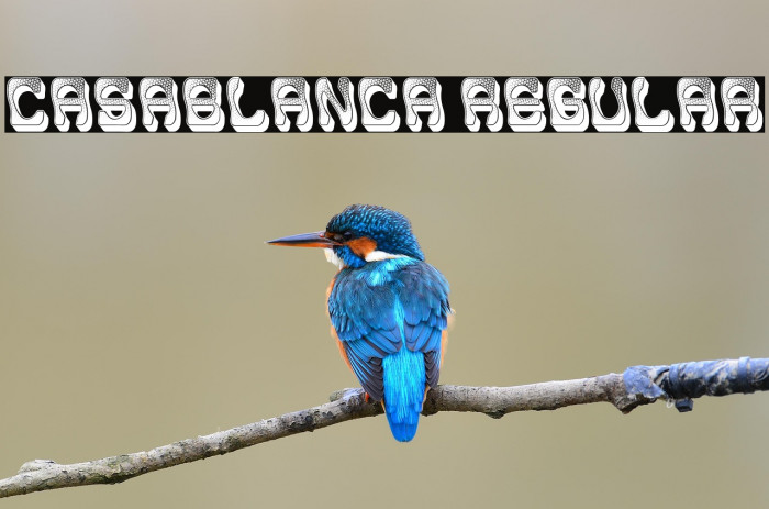 Casablanca Regular Example 3