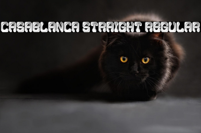 Casablanca Straight Regular Example 2