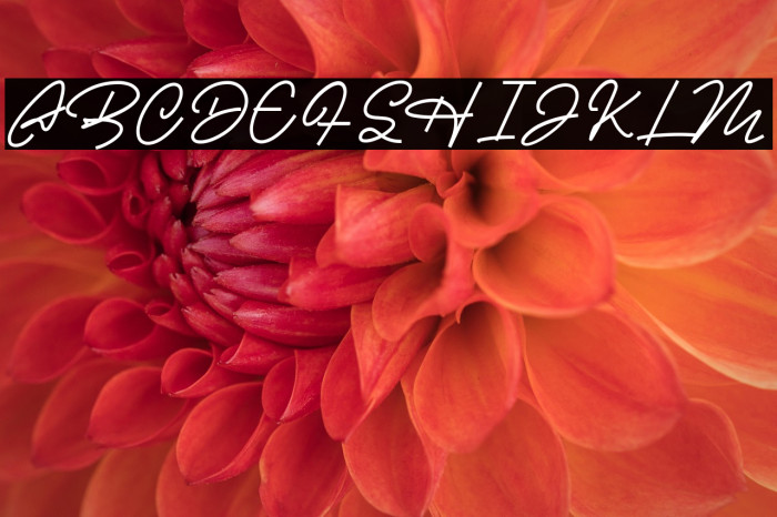 Casablanca Example 3