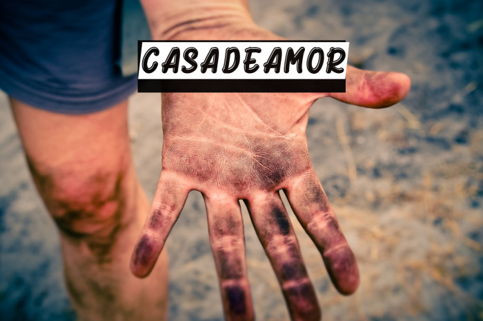 Casadeamor Шрифта examples