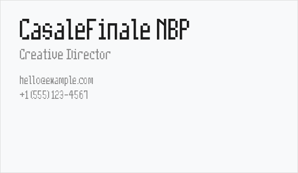 CasaleFinale NBP Business Card