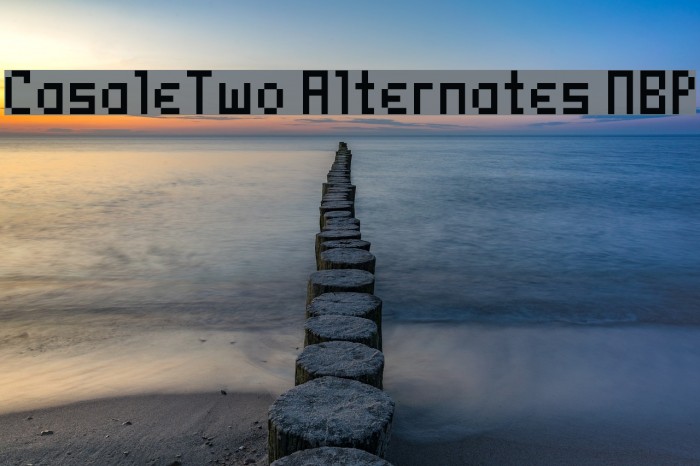 CasaleTwo Alternates NBP Font examples