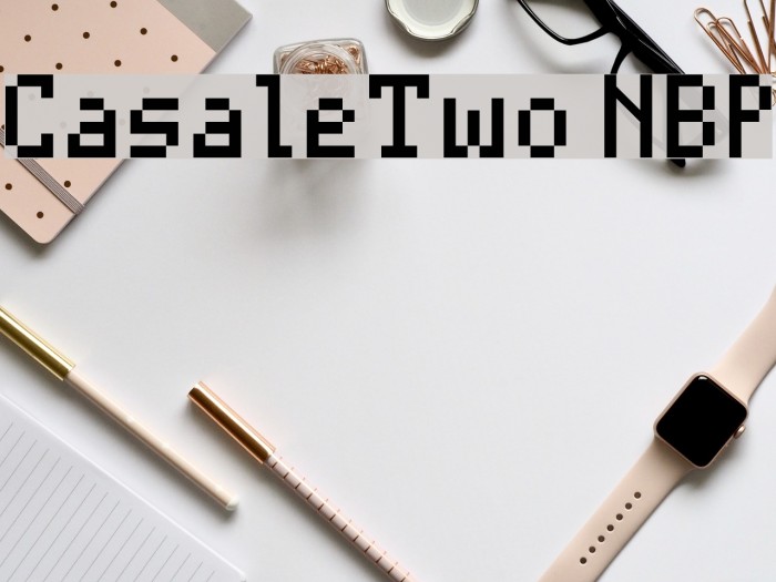 CasaleTwo NBP Example 1