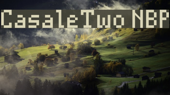 CasaleTwo NBP Example 3