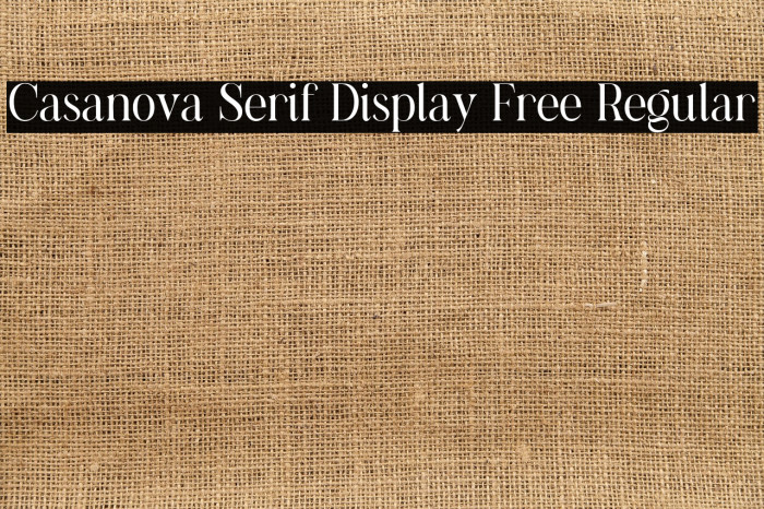 Casanova Serif Display Free Regular Example 1