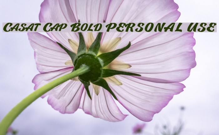 Casat Cap Bold PERSONAL USE Font examples