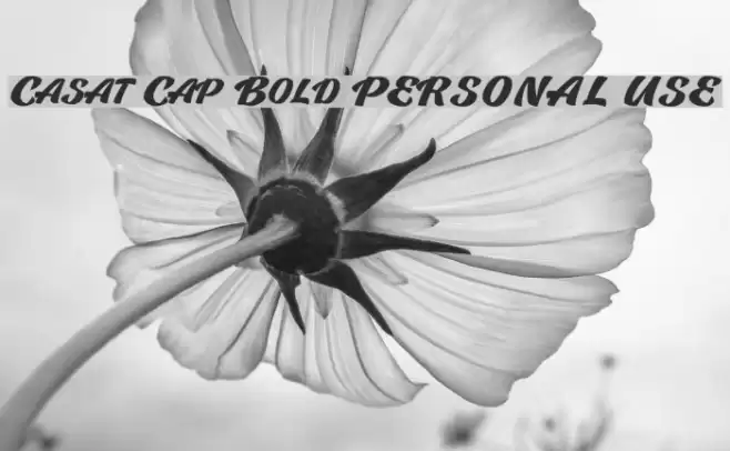 Casat Cap Bold PERSONAL USE Font examples