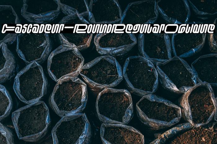 Cascadeur-RoundRegularOblique Example 3