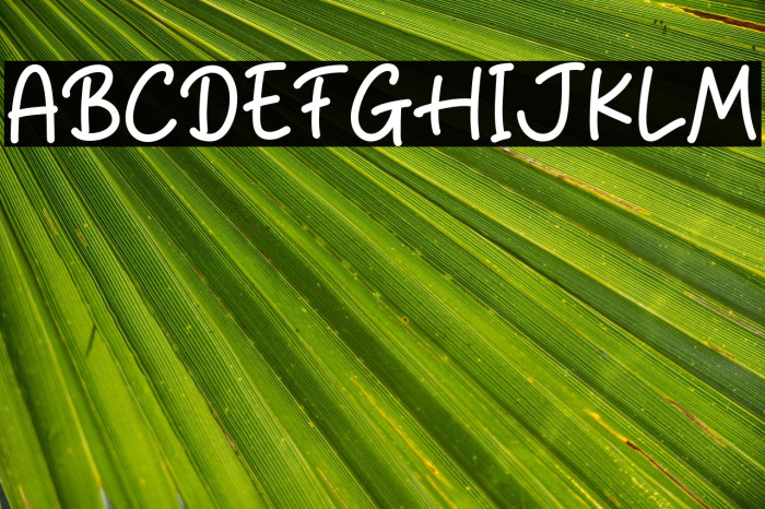 Case Closed Example 3