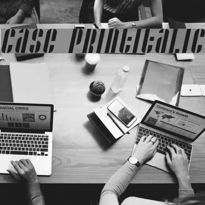 Case printitalic Font examples