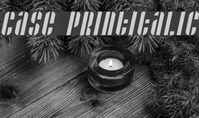 Case printitalic Font examples