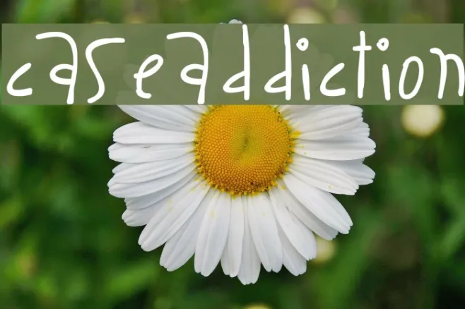 CaseAddiction Example 3