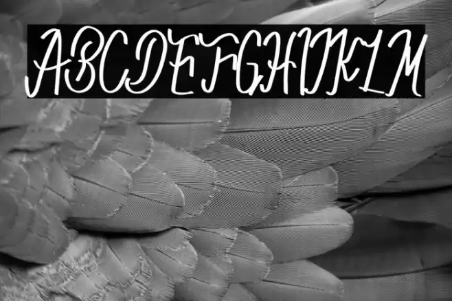 CasetCusutRegular Font examples