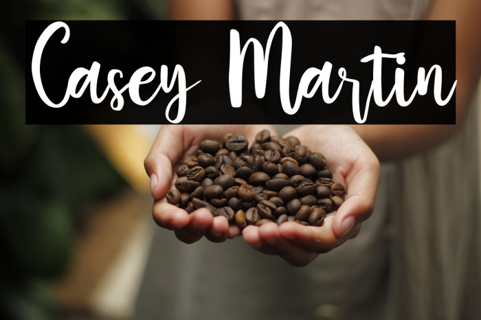 Casey Martin Example 2